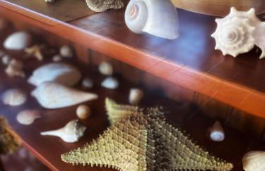 Villa Fort Tenerife - Foto 43