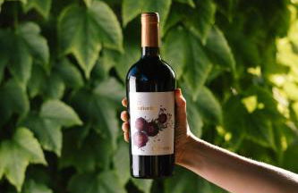 Alloggio Agrituristico Albafiorita - Foto 116