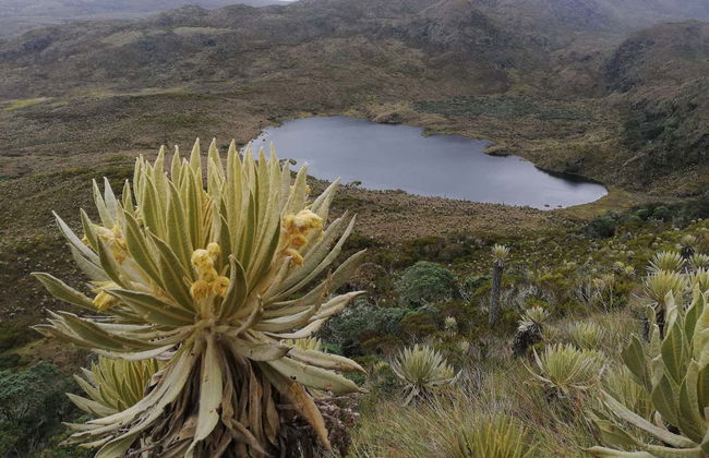Nevado del Tolima Private 4-day Hiking Route - Photo 5
