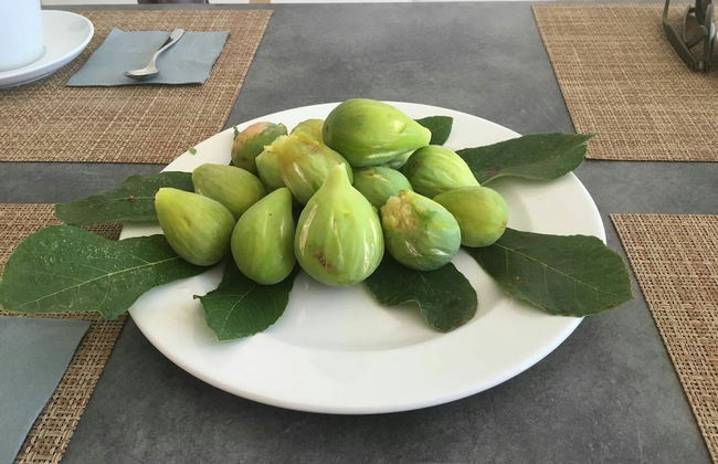 Azienda Agricola Spirdo - Foto 31