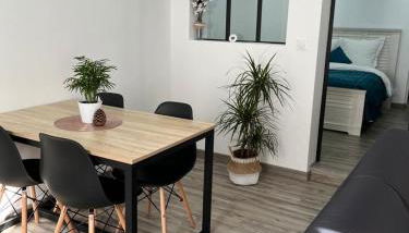 Colmar,appart chaleureux 2 pas centre avec jardin - Foto 2