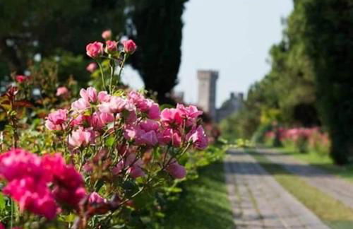 Casaflora_corteventurelli31 - Foto 52