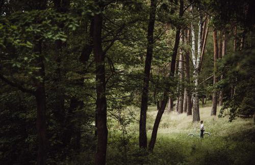 Osada pod Lipą - Foto 13