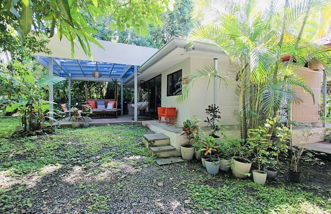 Relaxing Sound of River Birds Squirrels - Foto 38