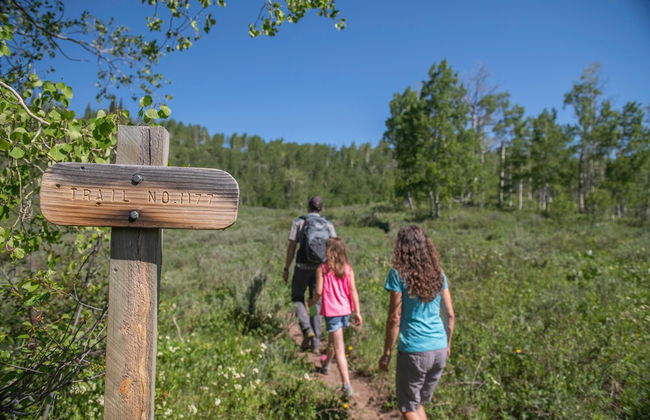 Vista Verde Ranch All-inclusive Cabin - Photo 14