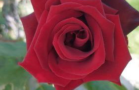 Casa Rural Recreo - Foto 6