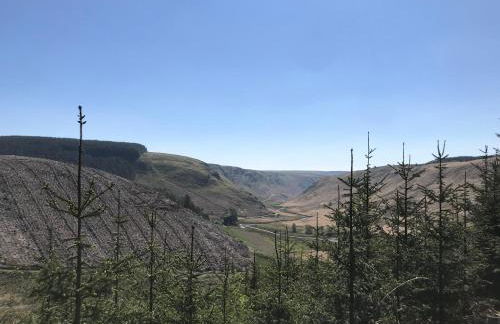 The Stables - Photo 33