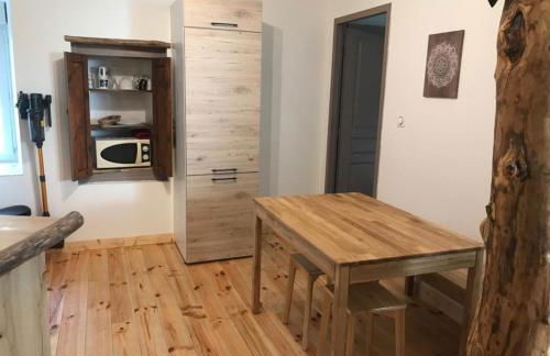 Sur les rochers du lac & location-rando en VTT - Foto 32