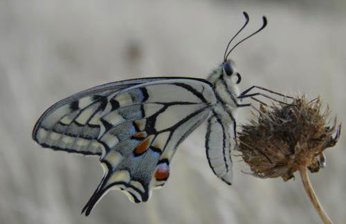 Casa Armonia - Foto 41