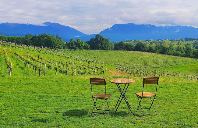 Tenuta Mani Sagge - Foto 11