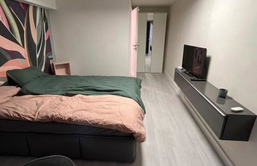 E11 Cologne - Foto 5