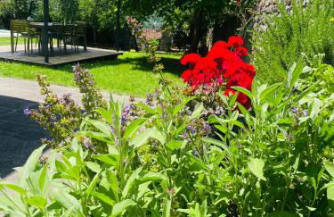 “Da Paolino” - Foto 14