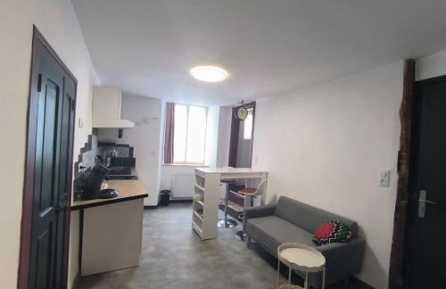 Duplex plein centre de Florac - Foto 20