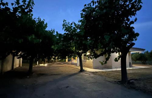Casa olivar de Riudoms - Foto 27