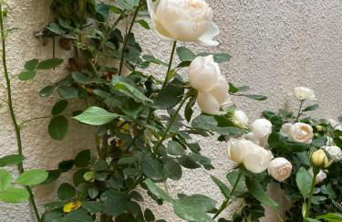 Via Braschi Sessantotto - Foto 5