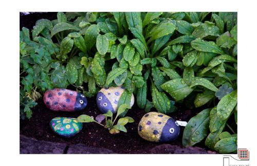 Casa do Zé II AL - Photo 109