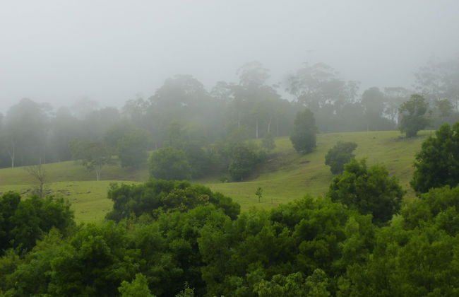 Bellthorpe Stays - Foto 43