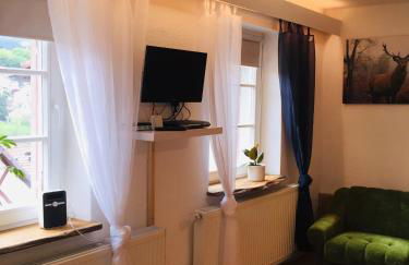 Neckarblick,Natur, Altstadt - Photo 19