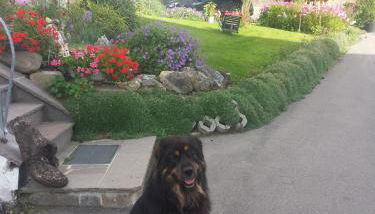 Gästehaus Kling - Foto 5, Garden, Garden view