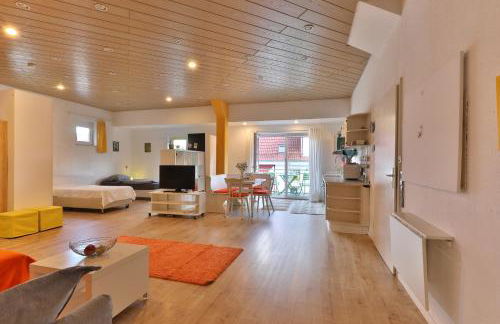 Nürtingen 90 qm lichtdurchflutete Wohnung im Loft-Style mit Balkon und Nähe zum Neckar - Photo 45