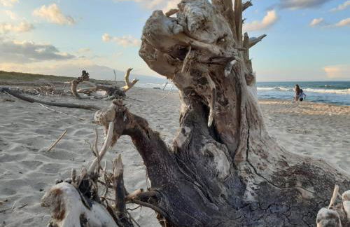 Villa Biniritta - Foto 52