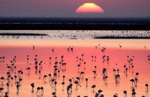 Casa Bellevue - Photo 46