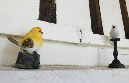 La petite Normande en ville - Foto 6