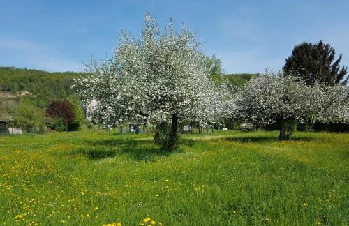 Ferienwohnungen Familie Schwarze - Foto 13