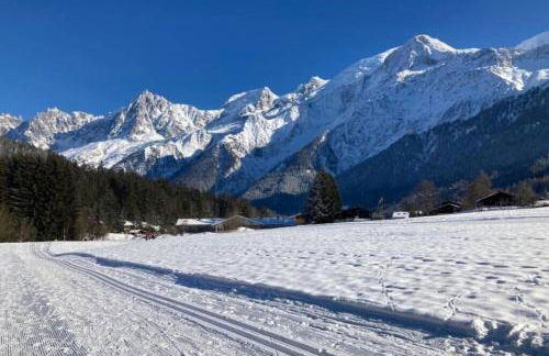 Studio Mont-Blanc balcony ski & walking center - Foto 10