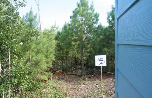 Forest Lake House - Foto 38