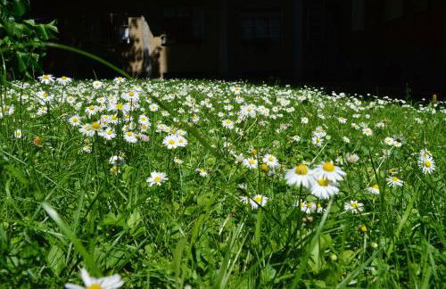 DESIGN DISTRICT- NAVIGLI Mini Appartamento Via Tortona 66 - Foto 21