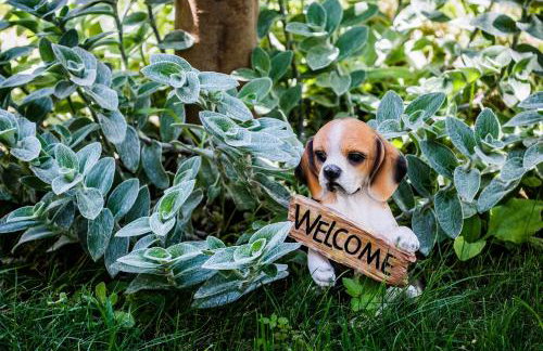 Villa Julija - Photo 49