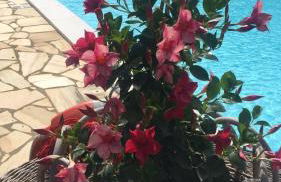 Agriturismo Cima alla Serra - Foto 10