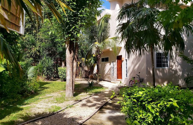 Mini Pini Birdwatching and Cenote Loft4 you Only - Foto 50