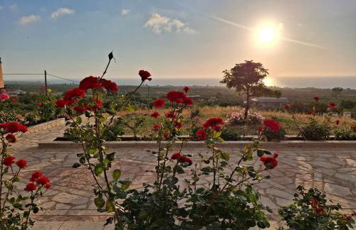 Roe Sea View - Foto 31