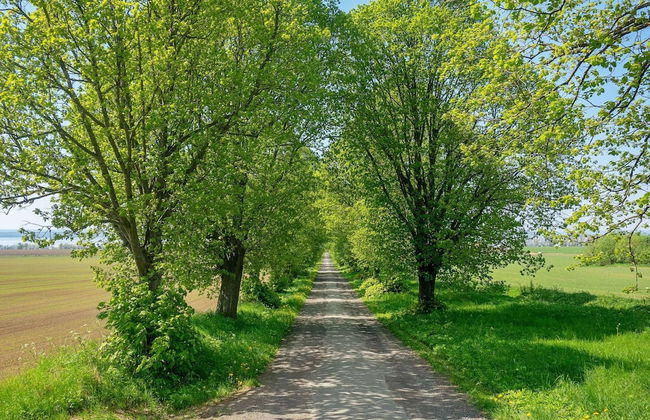 Lakeview Cottage Retreat-by Traum - Foto 18