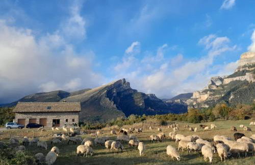 As Fuebas de Patricio - Foto 23