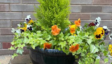 York Staycation with parking included - Foto 2, Garden