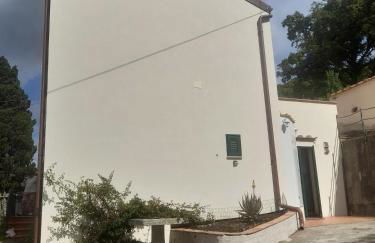 Fico d'india - Foto 6