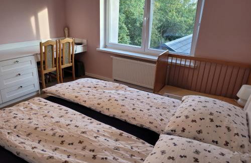 Agroturystyka Nowe Polaszki 10 - Foto 12