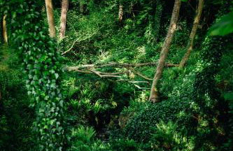 Beautiful 1 bed Glamping pod in Battle - Photo 26