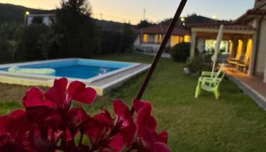 Oliveira's Little House - Foto 3