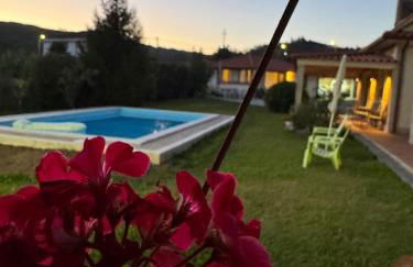 Oliveira's Little House - Foto 3