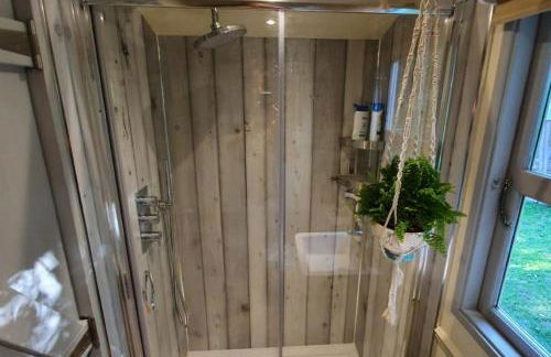 The Pheasant - Foto 14