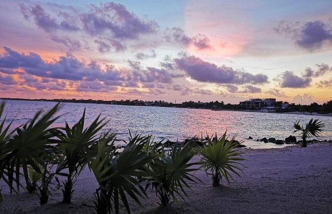 Tulsayab Luxury Development - Photo 72