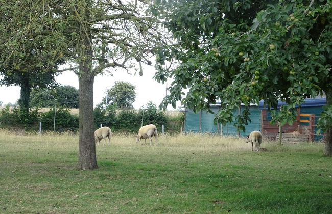 Beautiful Norman House With Outbuilding Located in the bay of Mont St Michel - Foto 12