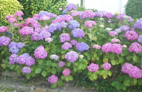 Résidence de l'Espérance - Foto 16