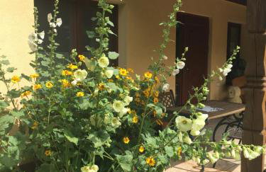 Agroturystyka Pod Podkową - Photo 37