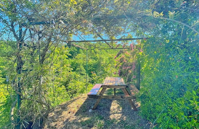 LUSTRA GARDEN SUITE - Photo 25