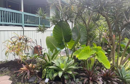 Seaside House and Aloha Bungalow - Foto 43